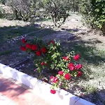 Charming House In With Shared Pool Nyaraló *