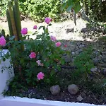 Nyaraló Charming House In With Shared Pool