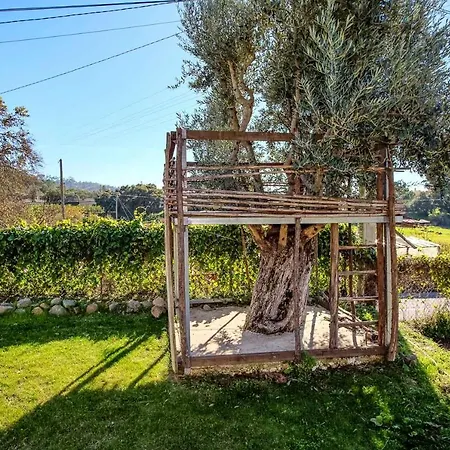 Charming House In With Shared Pool *